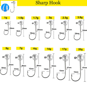 10pcs/lot NED jigs head hook 1g-20g All size Round Ball Jig Head Hook Long Shank hooks For Soft plastic lure Fishing