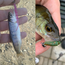 Load image into Gallery viewer, Small soft plastic jerk bait Lures Sinking awesome action best price quality