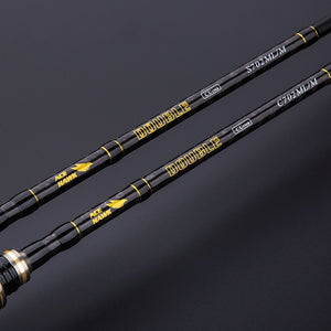 2.1m M/ML Double Tip Fishing Rod 4-15g Casting & spin Light Jigging 2 Sections Quality