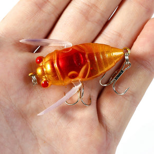 1x Cicada Hard Fake Bait Fishing Lure 5cm 6g  Artificial surface popper Insect Tackle