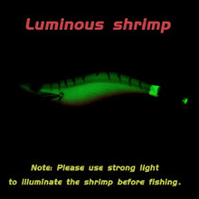 Load image into Gallery viewer, 10x Shrimp Squid Jig set +bag 3D Printing 2.5 3.0 3.5 Hook Luminous Fishing Wood