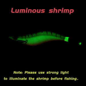 10x Shrimp Squid Jig set +bag 3D Printing 2.5 3.0 3.5 Hook Luminous Fishing Wood
